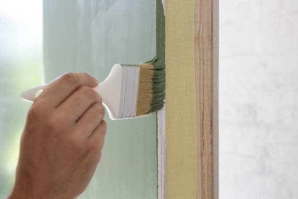 Best Basement Mold Removal  in Wrens, GA