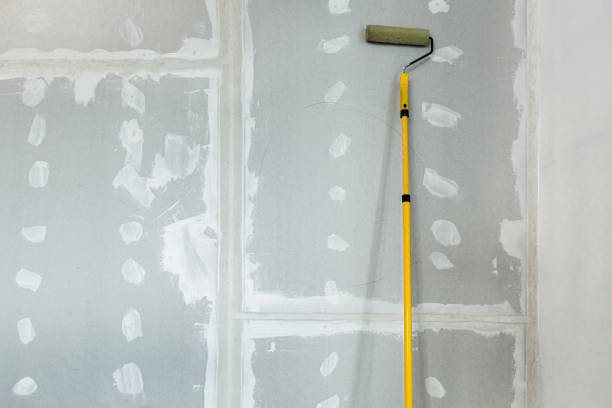 Best Dehumidification Services  in Wrens, GA