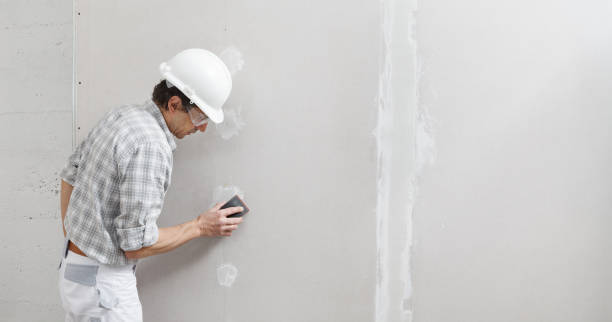 Best Mold Odor Removal Services  in Wrens, GA