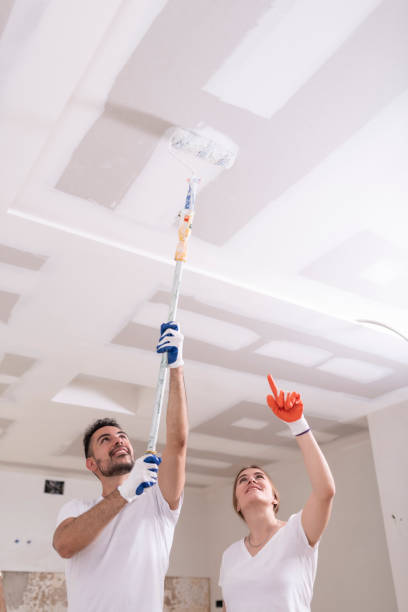 Best Residential Mold Inspection & Testing  in Wrens, GA