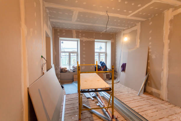 Best Attic Mold Removal  in Wrens, GA